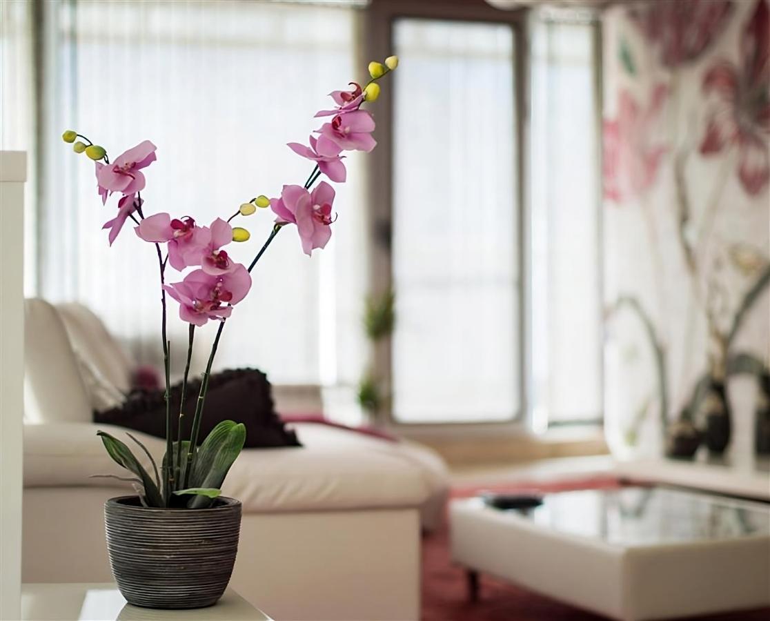 Luxury Apartments Burgaz Dış mekan fotoğraf